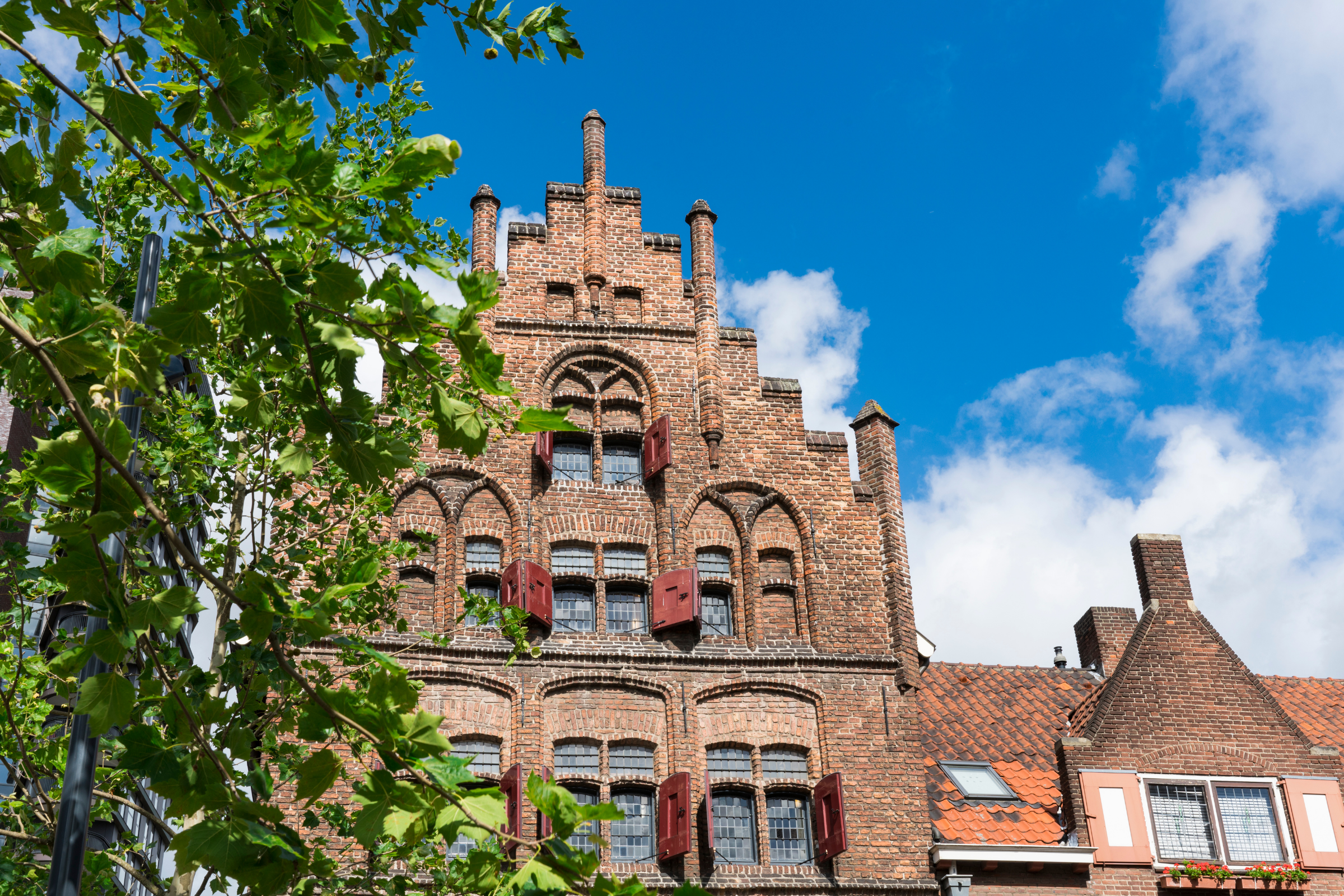 Venlo[1].webp